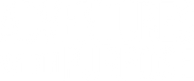 Adventures With Purpose logo